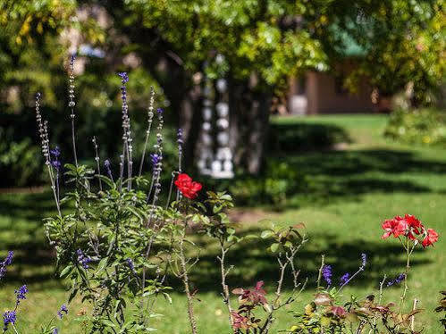Chartwell Castle & Guest House Ngoại thất bức ảnh